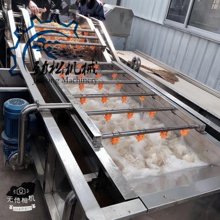 供应果蔬根茎类清洗机  诸城大枣枸杞加工设备 蓝莓清洗机 价格