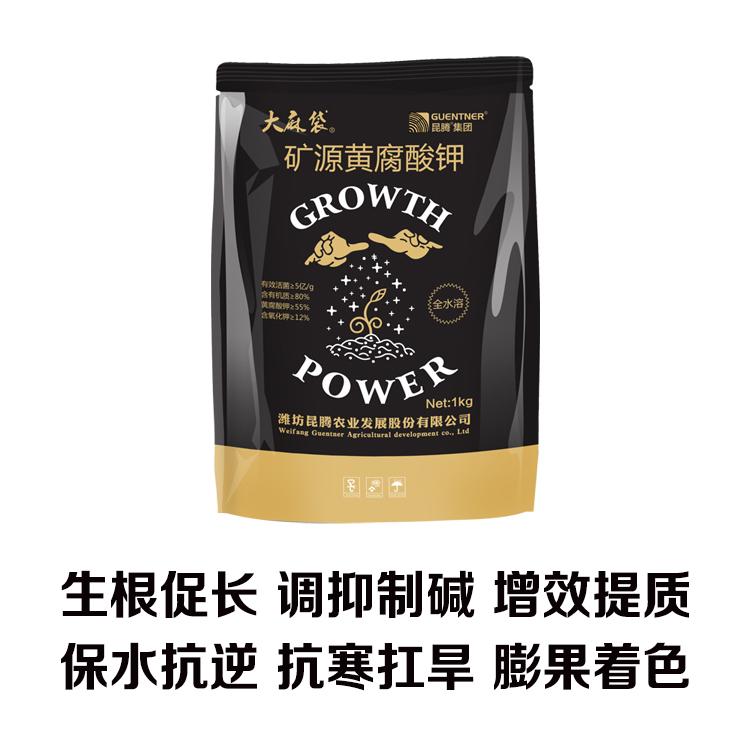 菠萝专用 矿源黄腐酸钾 喷施冲施微灌滴灌 全水溶菌肥菌剂冲施肥 100%抗硬水 抗絮凝 调节土壤 促根壮苗膨果着色 提早成熟提前上市 厂家直销