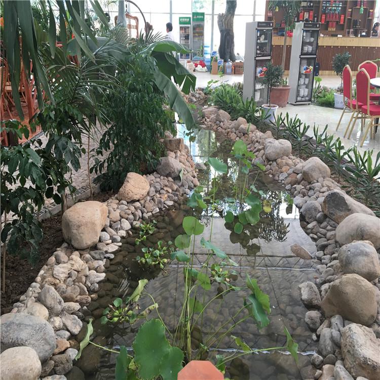植物花草景观温室大棚餐厅  生态温室餐厅   假山花园餐厅 温室大棚景观