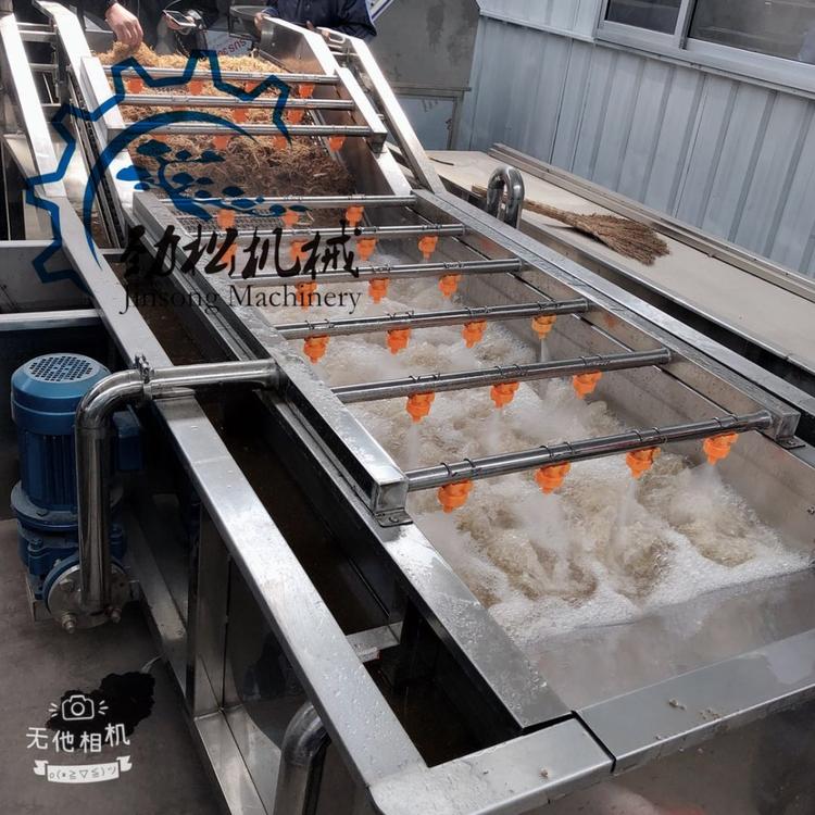 辣椒黄瓜加工清洗设备价格  大型蔬菜水果清洗机 木耳气泡清洗机