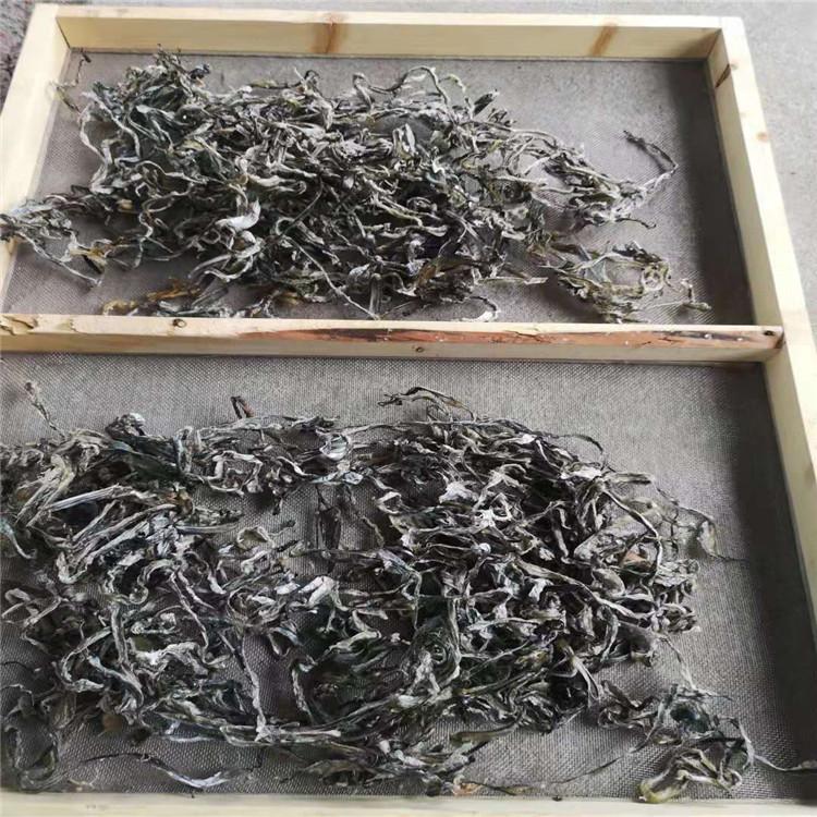 鱼片烘干机_鱼肉恒温干燥箱_烘干效果好_鱼皮干燥设备