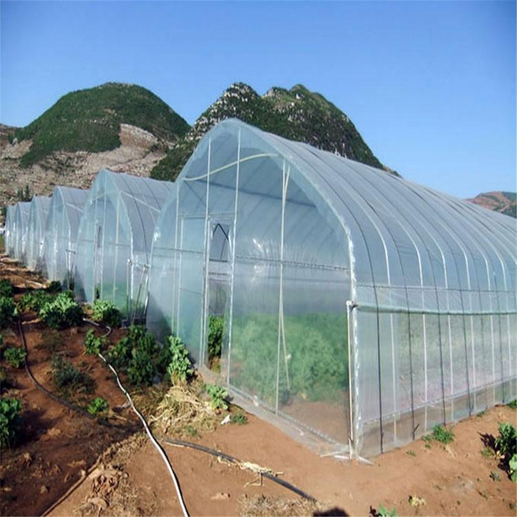 拱形种植养殖温室大棚 金农温室定制 拱形温室大棚