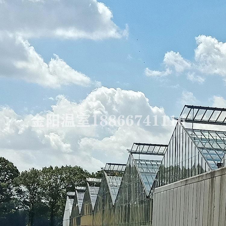 连栋温室结构连栋温室保温连栋温室参数 青州金阳温室