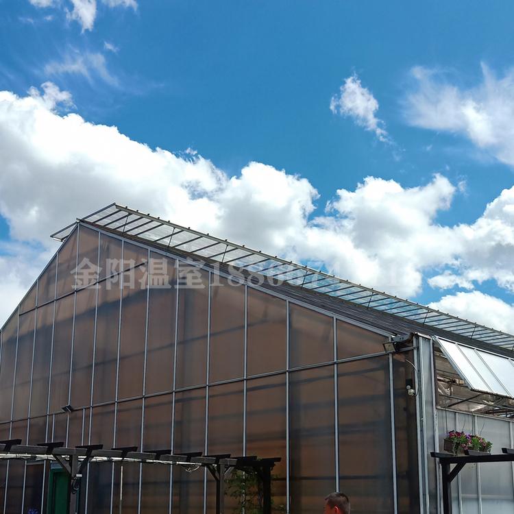 建设蔬菜温室大棚连栋大棚连栋智能温室青州金阳温室