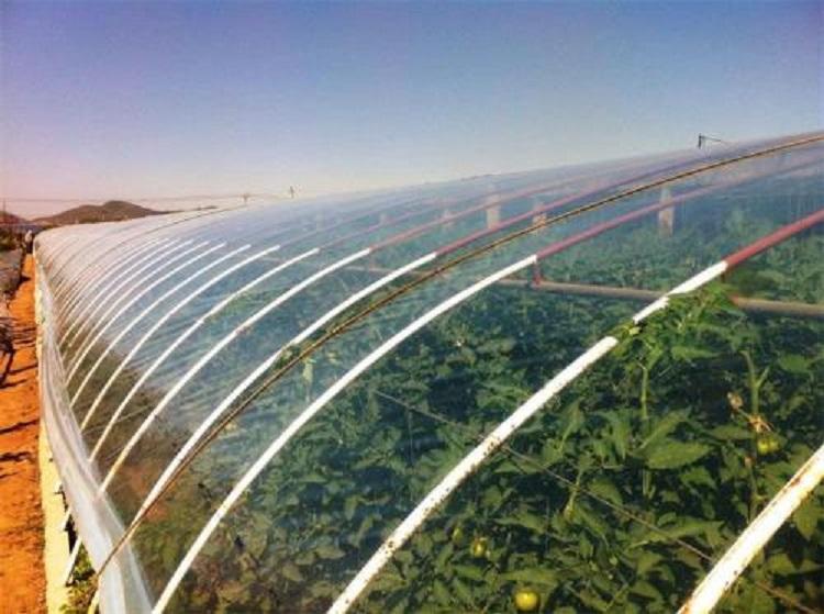 重庆灌浆膜厂家 大棚膜批发价格 恒冠塑料
