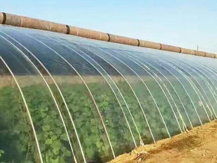 大量供应灌浆农膜 批发直销消雾灌浆膜厂家
