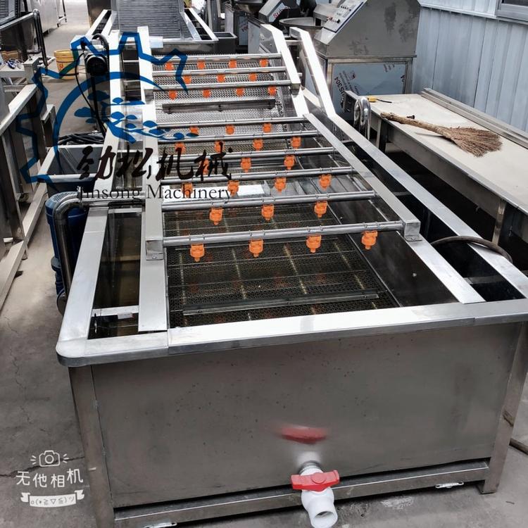 商用洗菜机 大型果蔬清洗设备  厂家直销中药材气泡清洗机 价格