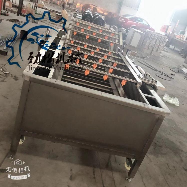 红辣椒气泡清洗机 香菇蘑菇清洗设备 蓝莓大枣清洗机价格