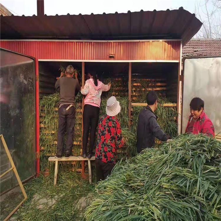 牧草烘干机_小型节能苜蓿秸秆牧草烘干设备_网带式牧草脱水干燥机