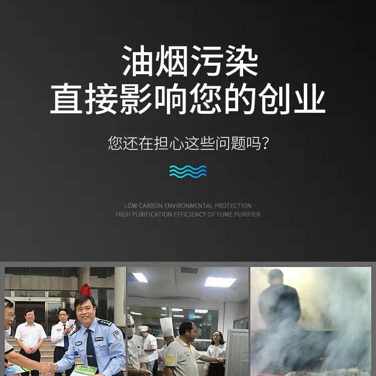 油烟净化器 低空排放油烟净化器 包过环保检查