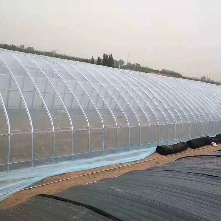 航立塑料薄膜 价格优惠的大棚膜 黑色地膜定制