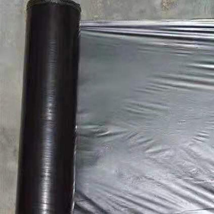 厂家直销定制农用大棚灌浆膜 大棚黑白膜 大棚无滴膜