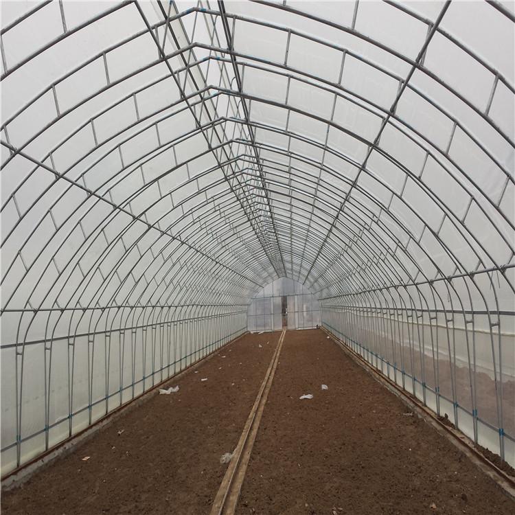 蔬菜大棚大跨度拱棚   春秋拱棚 养殖使用