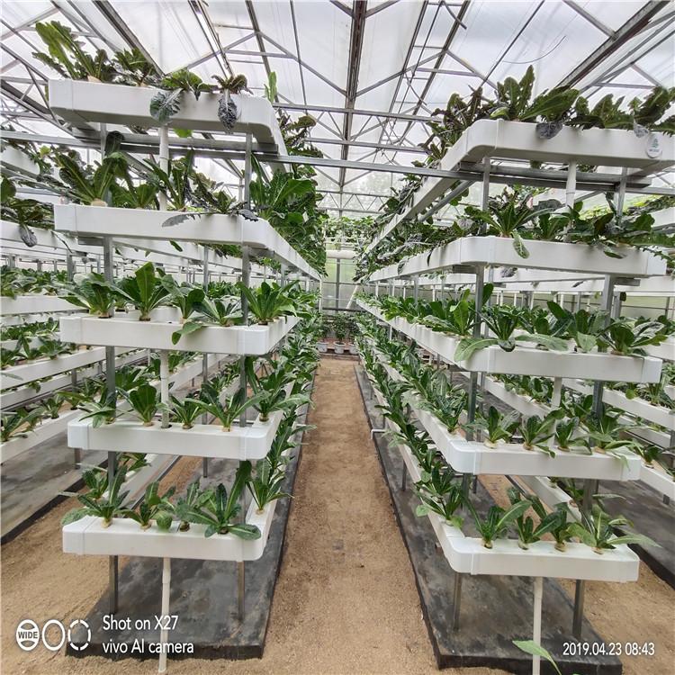 无土栽培配件    蔬菜水果植物 无土栽培厂家
