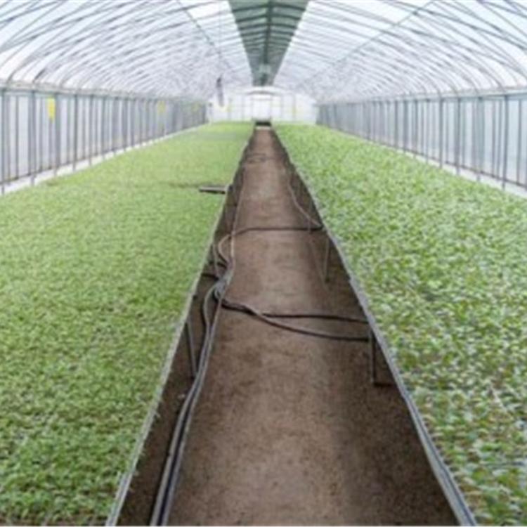 青州温室厂家_润隆温室_种植大棚_圆拱薄膜温室