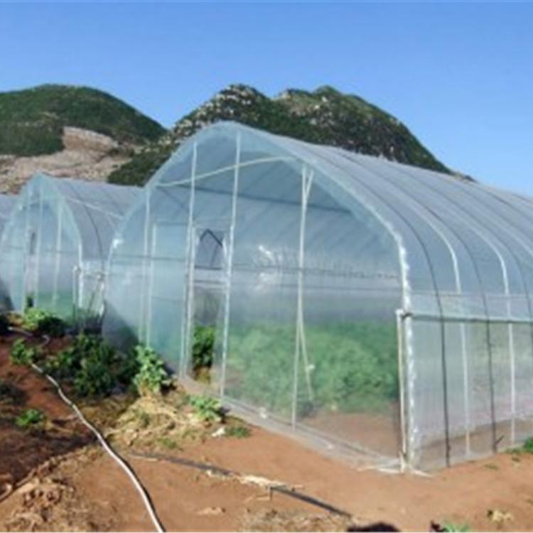 定制型拱棚温室  农业种植大棚  青州润隆温室