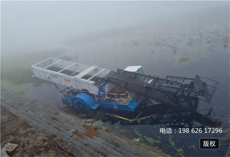 温州水葫芦打捞船厂家 海藻清理船 赤藻清理打捞船
