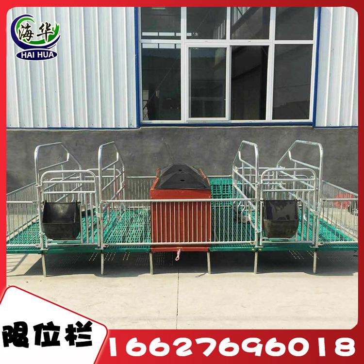 限位栏 国标热镀锌2.2*3.8母猪分娩床专用限位栏复合板产床 厂家母猪产床 复合板母猪分娩床 养猪成套设备量大从优