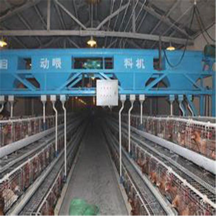 山东水线料线鸡笼上料机供应 半自动上料机供应