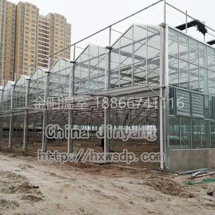 优质玻璃温室_选青州金阳温室_设计新颖_经验丰富