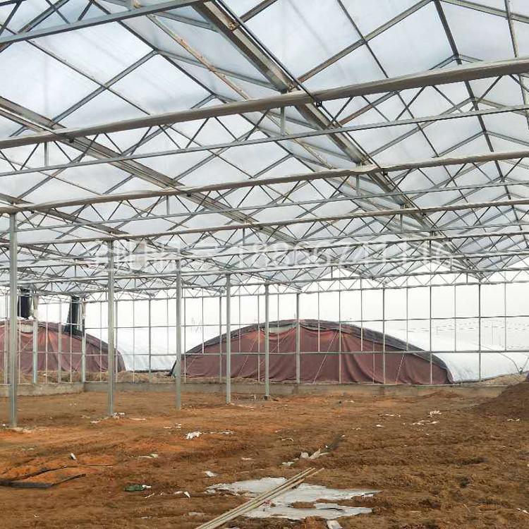 生态餐厅_智能大棚_玻璃温室_连体大棚-青州市金阳温室工程有限公司