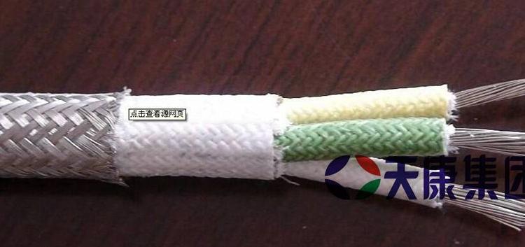 安徽天康500度高温电缆