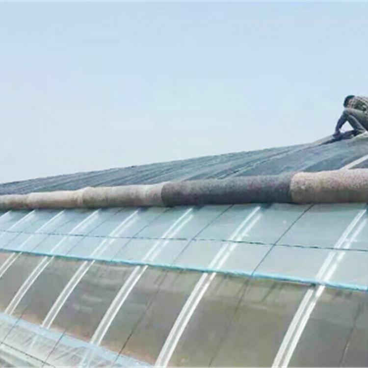 日光温室暖棚  润隆农业承接  温室大棚建设