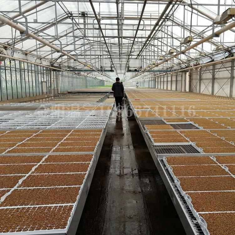 蔬菜大棚连栋大棚养殖大棚青州金阳温室工程有限公司
