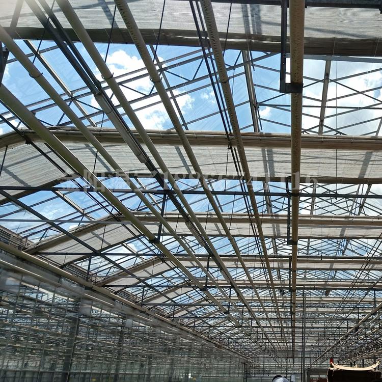 连栋温室大棚怎么建设|找优质大棚厂家|青州金阳温室工程有限公司