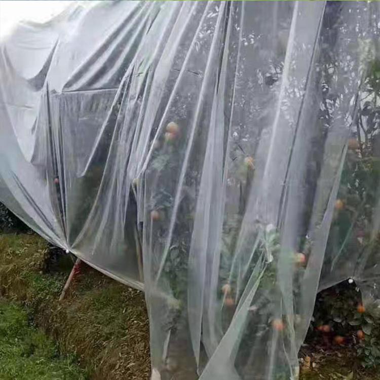 绿白膜食用菌厂家直销_专业供应黑色地膜