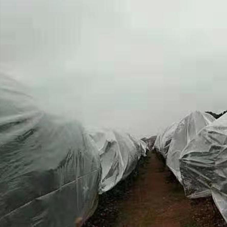 透明地膜_银灰地膜_专业供应 厂家直销 库存充足
