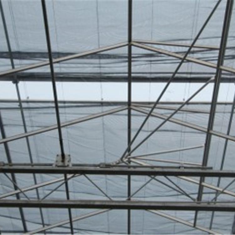 阳光板温室  润隆温室厂家承接  温室大棚建造