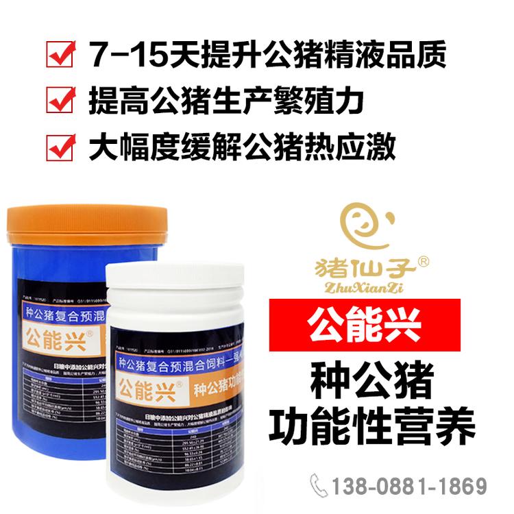 猪仙子 公能兴种猪功能营养添加剂 种猪营养补充剂 提高公猪质量饲料添加剂 提高公猪品质