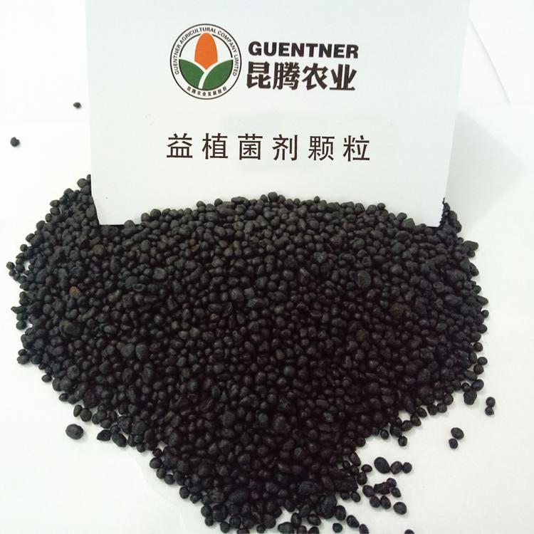果树专用月子肥5亿活菌90有机质豆粕豆粉大豆蛋白全腐熟豆粕微生物菌剂改良土壤 补充中微量元素及有机质 抗菌抑虫 生物有机肥 厂家直销 量大从优
