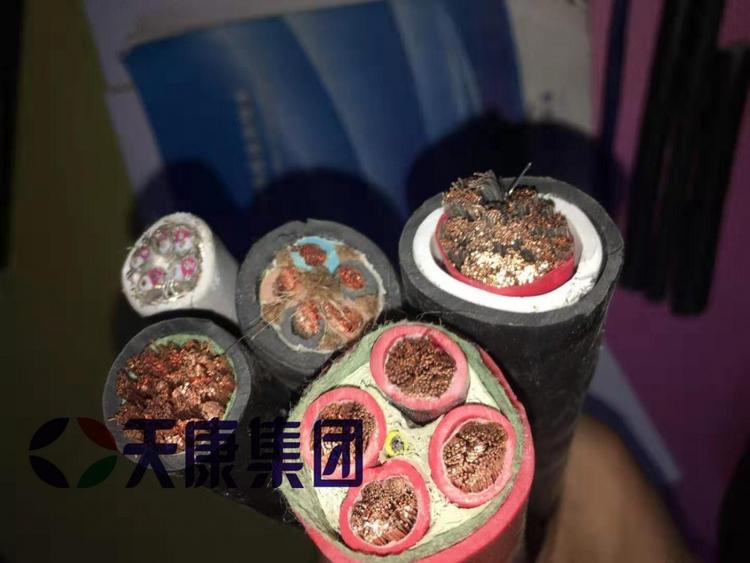 安徽天康船用电缆