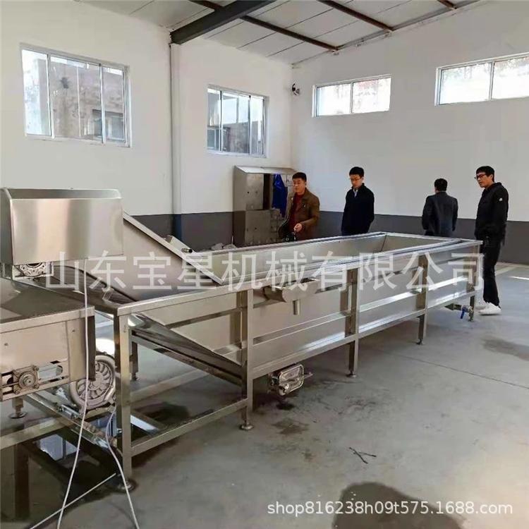 家禽脱毛机 宝星品牌 肉制品加工厂器械 规格齐全 卫生整洁 