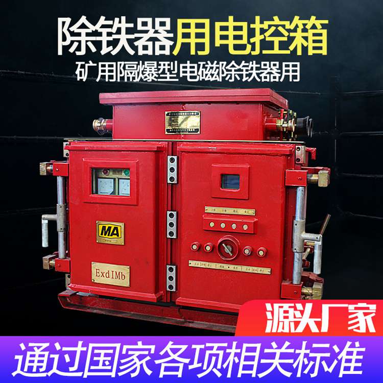 除铁器用电控箱 隔爆型除铁器用电控箱厂家价格  可定制