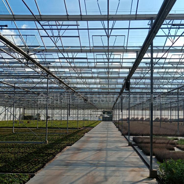 玻璃温室大棚厂家设计安装价格青州金阳温室工程有限公司
