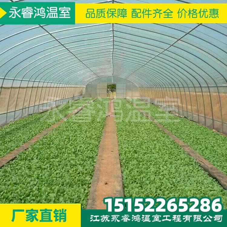 永睿鸿温室大棚 镀锌管大棚 椭圆管大棚 几字钢大棚