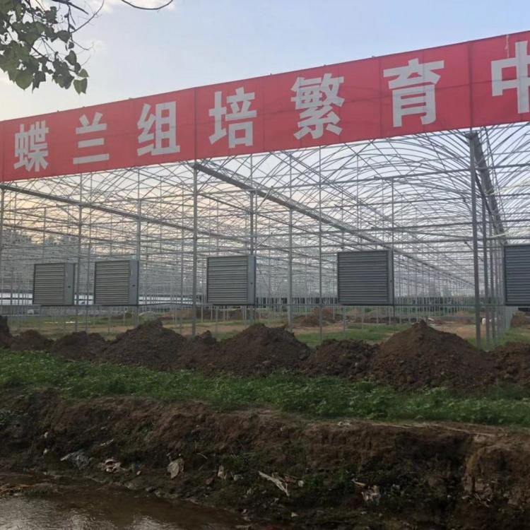 连栋薄膜温室制造商   智能温室花卉连栋大棚 温室骨架 连栋温室薄膜大棚