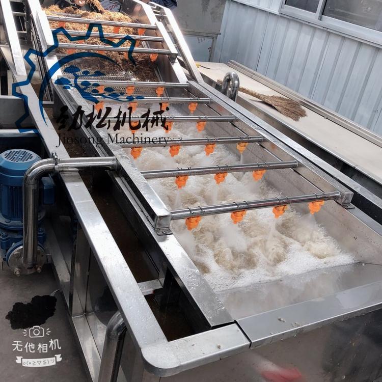 商用大型蔬菜水果清洗机 新疆葡萄枸杞气泡清洗机 价格