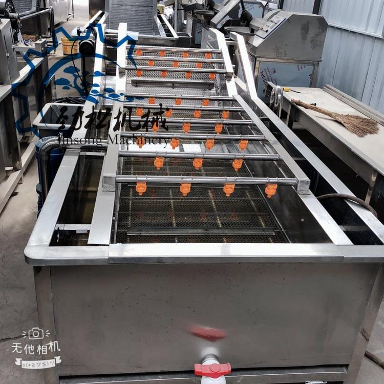 大型工业蔬菜水果清洗机 蓝莓清洗机 辣椒茄子气泡清洗机 价格