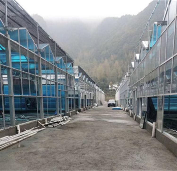 山东育苗玻璃温室厂家   润隆温室  厂家定制