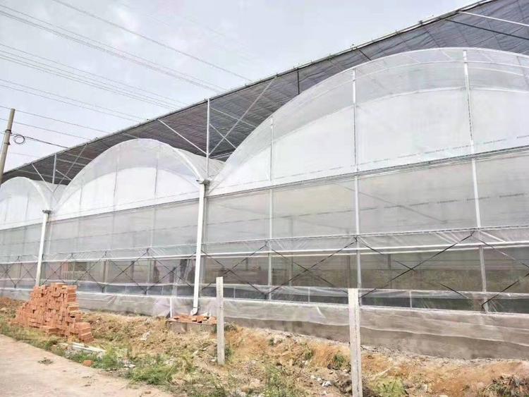 智能温室承建 智能温室造价 智能温室报价 智能温室承建