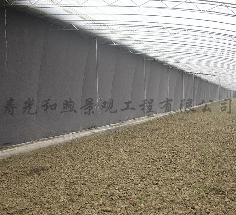 日光温室大棚 高温大棚 保温性能好 温度稳定 温室大棚设计