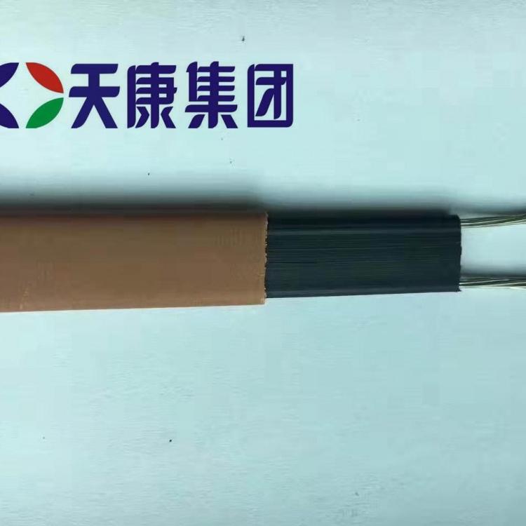 安徽天康自控温中温伴热电缆