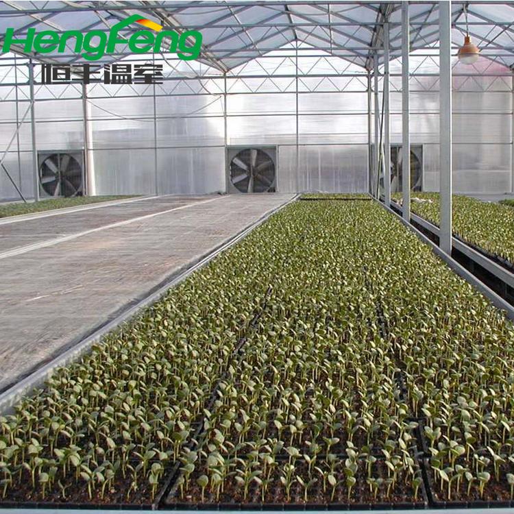 PC阳光板温室大棚 绿色植物花卉大棚 山东智能温室大棚 恒丰温室