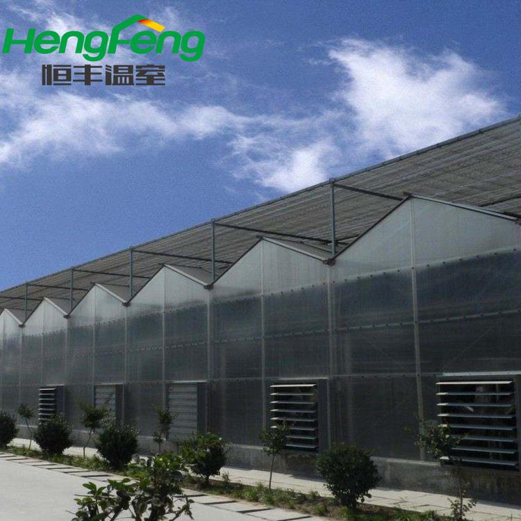 山东PC阳光板温室建造找恒丰 知名阳光板智能温室厂家