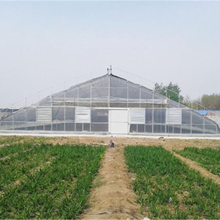 青州温室厂家承接_日光温室工程_玻璃温室供应商_润隆