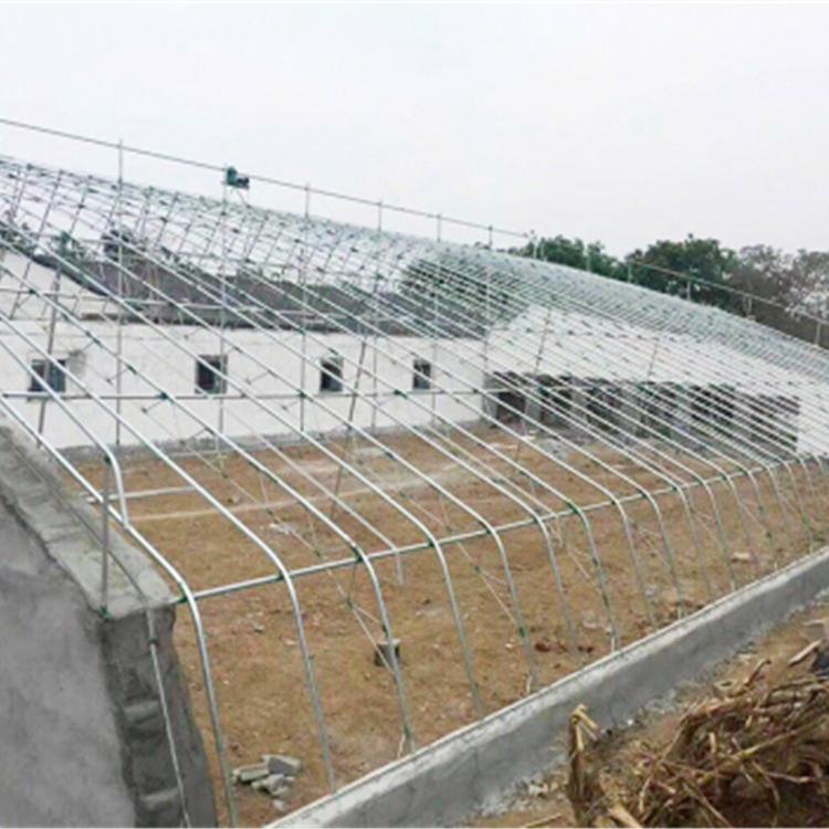山东日光温室建设_润隆温室_连栋薄膜温室大棚设计